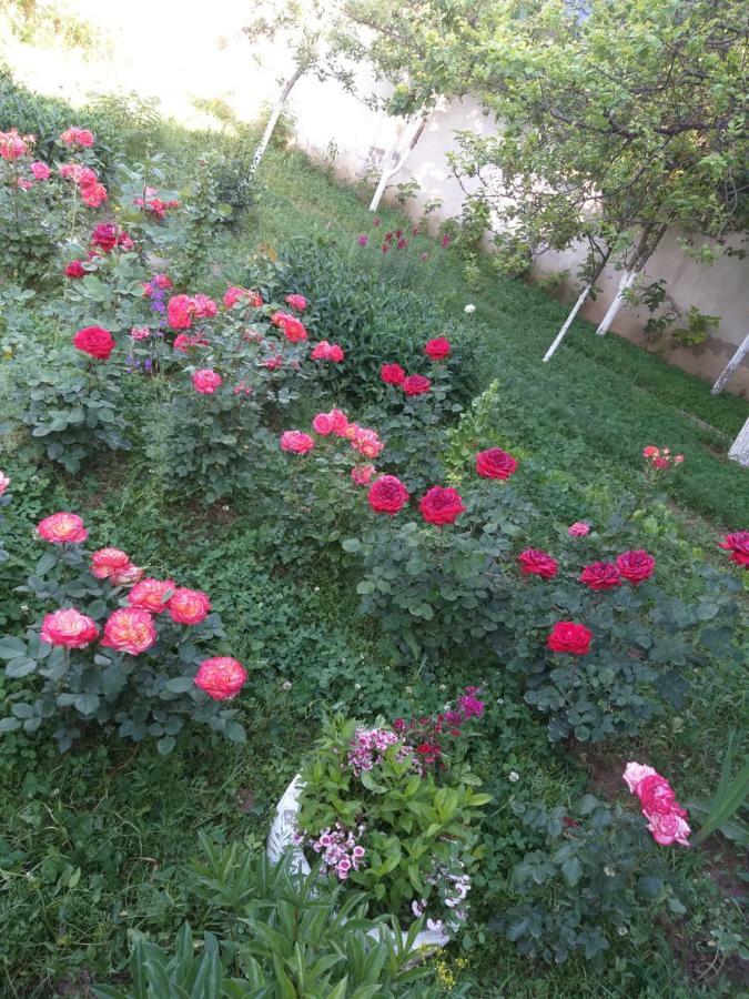Shymhostle Hostel Shymkent Exterior photo